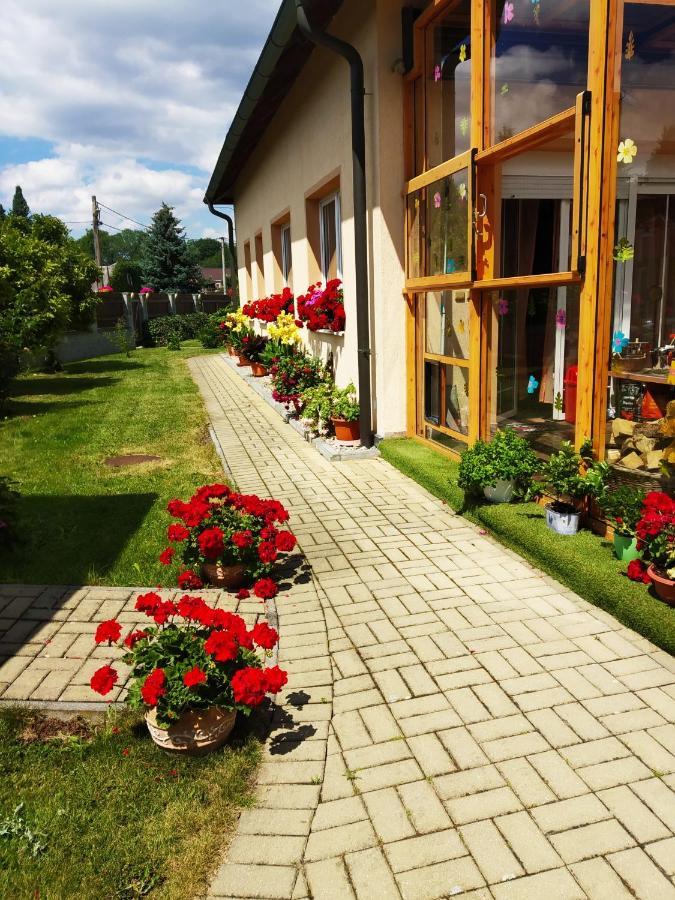Ubytovani Poustka Františkovy Lázně Exterior foto