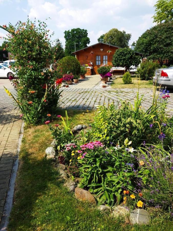 Ubytovani Poustka Františkovy Lázně Exterior foto