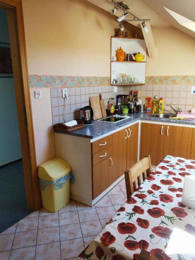 Ubytovani Poustka Františkovy Lázně Exterior foto