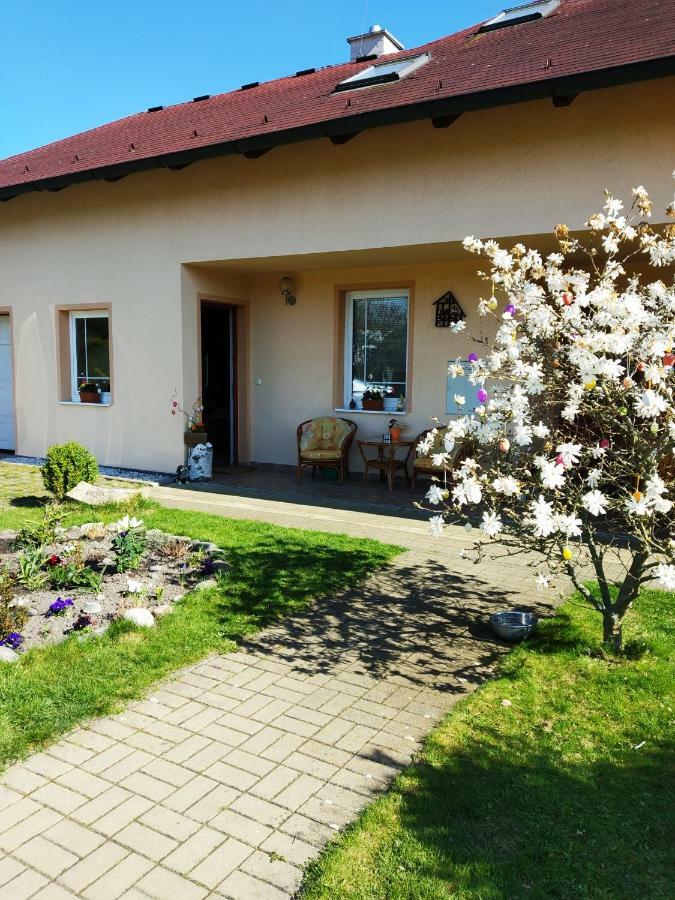 Ubytovani Poustka Františkovy Lázně Exterior foto